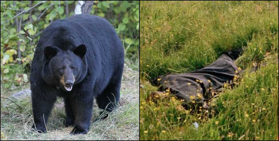 Chamoli: The woman who had gone missing was found in the forest with serious injuries from a bear attack; she survived the night by hiding beside a tree