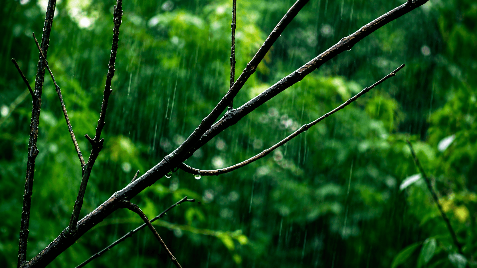 IMD's Heavy Rain Alert Spans 20 States as Deep Depression Fuels Active Monsoon